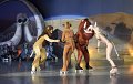 Lionking 0422